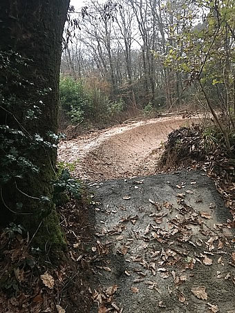 bike park kernow